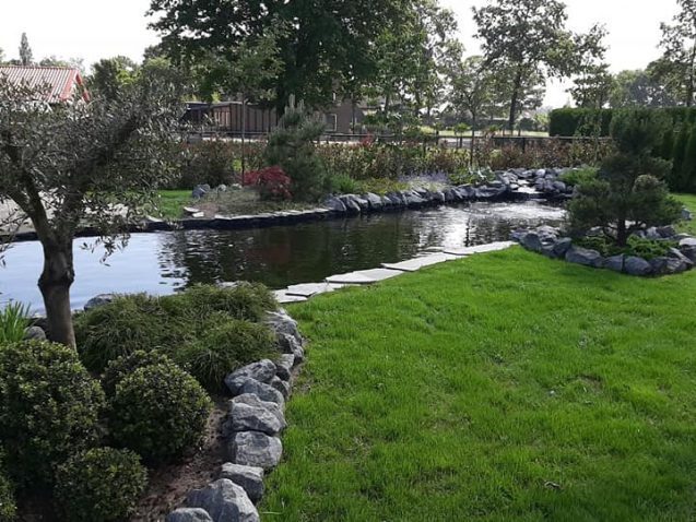 Koi Vijver Natuurlijk